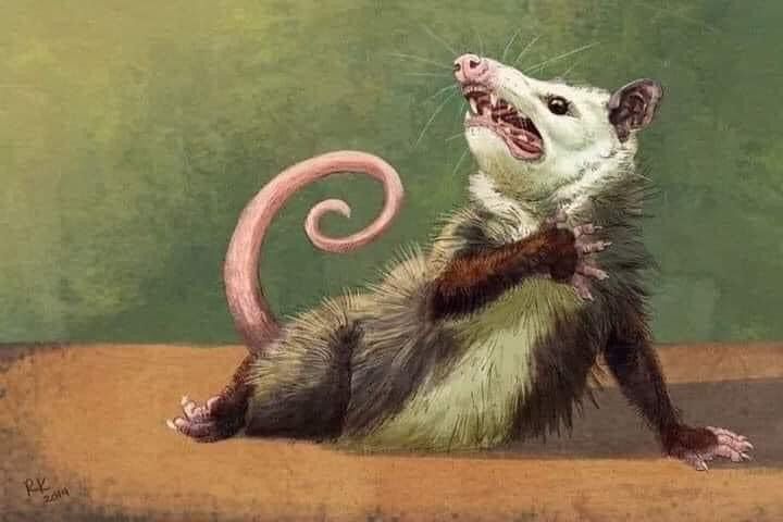 Artistic depiction of a very dramatic and trashily-chic opossum appearing aghast, one forepaw clutched to its chest, mouth ajar, presumably mid-gasp 