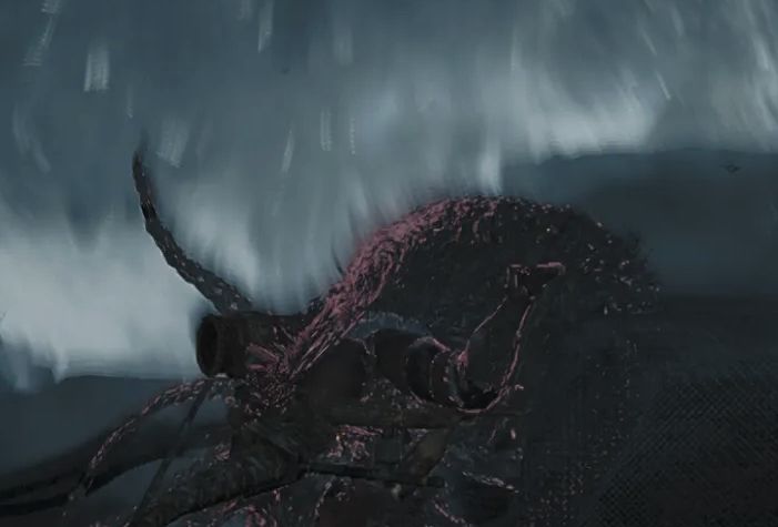 A screenshot of Tokki’s character in MonHun