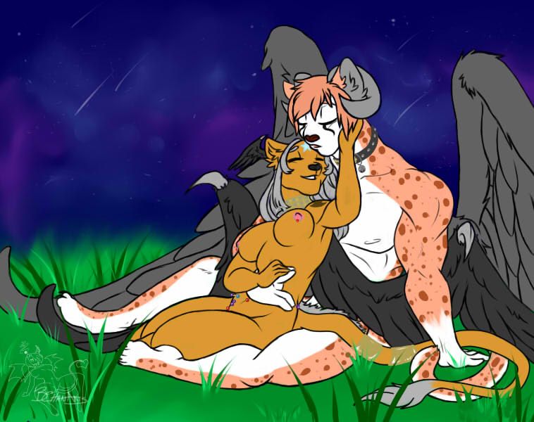 A sweet art of Talen and Mids snuggling under the night sky.