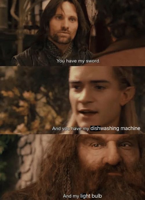 Aragorn pledges his sword; Legolas pledges his dishwashing machine; Gimli pledges his light bulb. The fellowship of the ring cameras is born