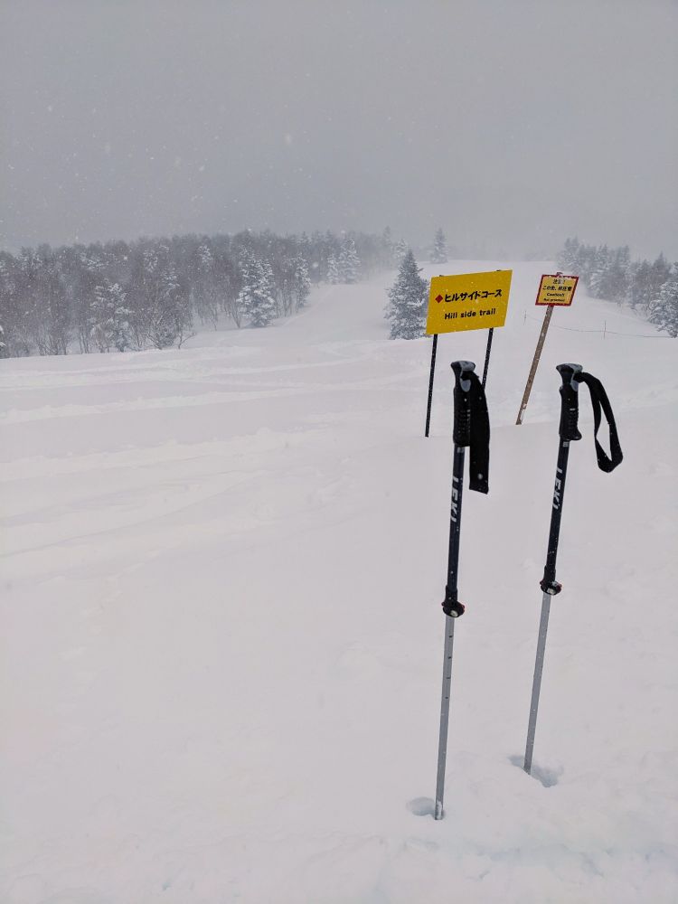 Two ski poles in foot deep powder snow, with signs in Japanese and English saying that a slope is ungroomed.