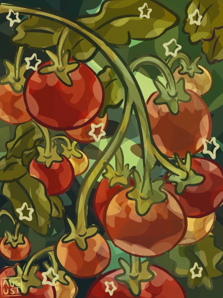 tomatoes on a vine against a green background with stars around them