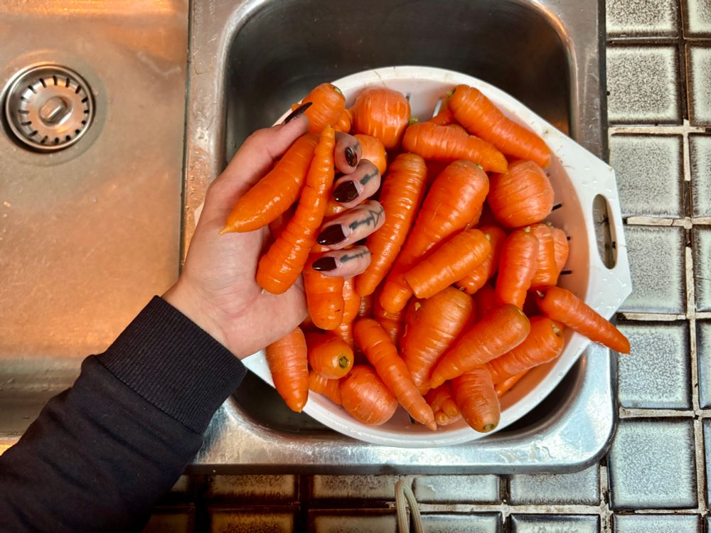 A colander on carrots sits in a sink. Rae holds some in her hand. 