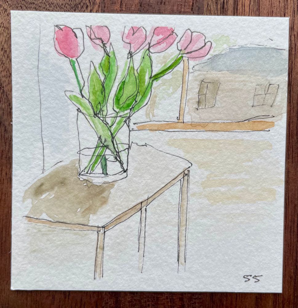 Small watercolor and ink piece of a glass vase with pink tulips next to a window looking out on a building. The vase and flowers are drawn with one continuous line, giving the piece a free and playful feel.