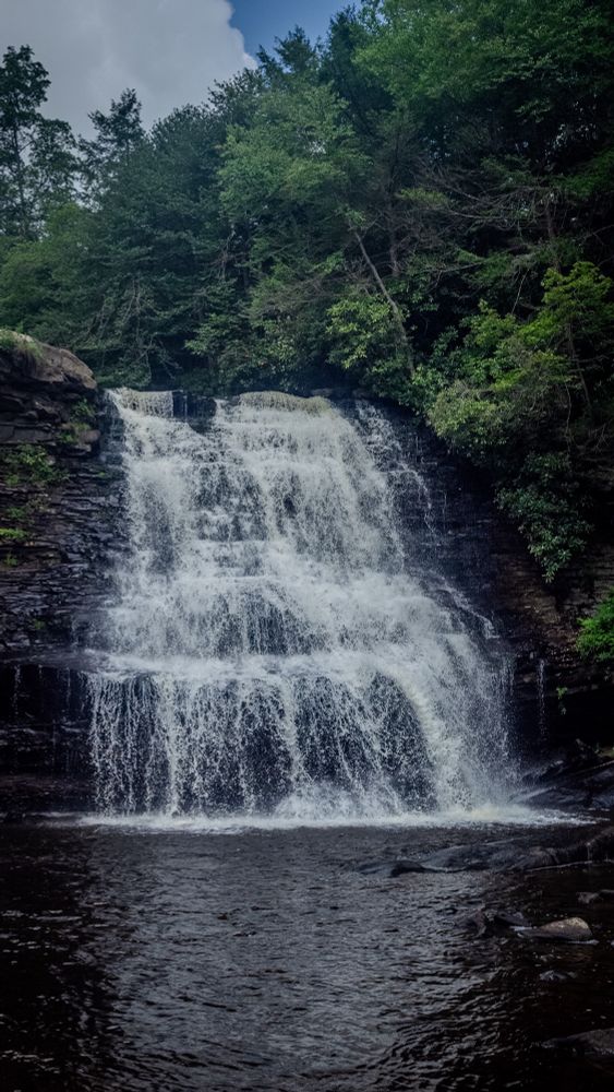 The muddy creek falls shot from its pool. It is a tall waterfall with white water surrounded by deep green foliage