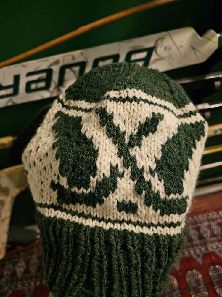 Knit hat with the PWHL logo in Boston Fleet colors.