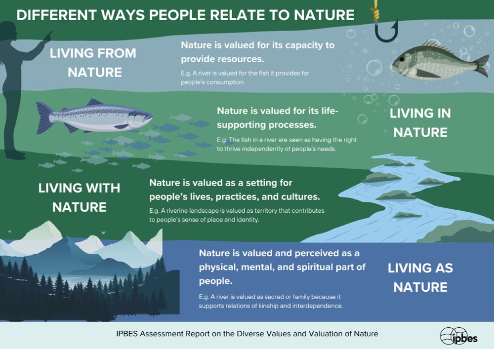 An infographic depicting the various ways people relate to and value nature, including living from nature, living in nature, living with nature and living as nature.