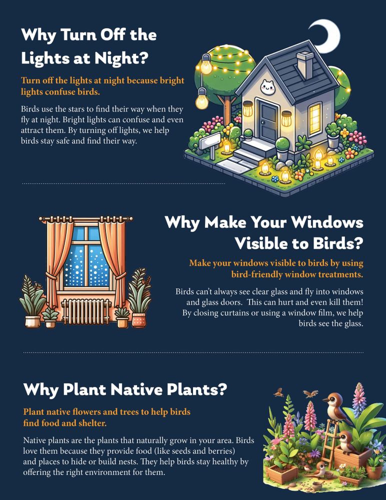An educational infographic on a dark blue background featuring three sections about bird-friendly practices. The illustration includes:

Top section: "Why Turn Off the Lights at Night?" 

Middle section: "Why Make Your Windows Visible to Birds?" 

Bottom section: "Why Plant Native Plants?" 