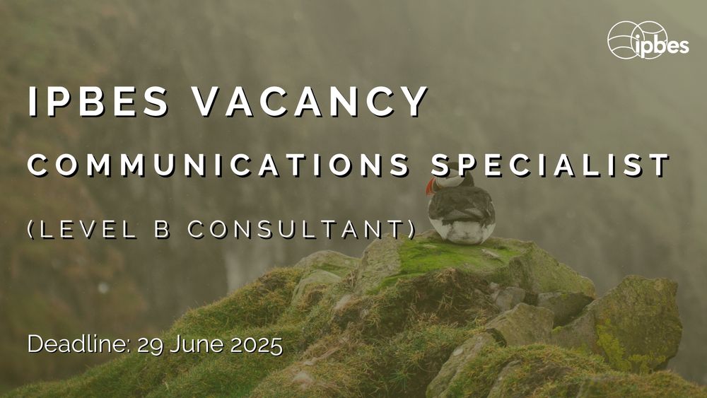 An image of a puffin. Overlay text reads: IPBES Vacancy, Communications Specialist, Level B Consultant, Deadline 29 June.