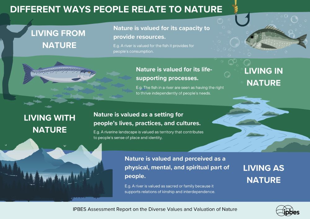 An infographic depicting the various ways people relate to and value nature, including living from nature, living in nature, living with nature and living as nature.