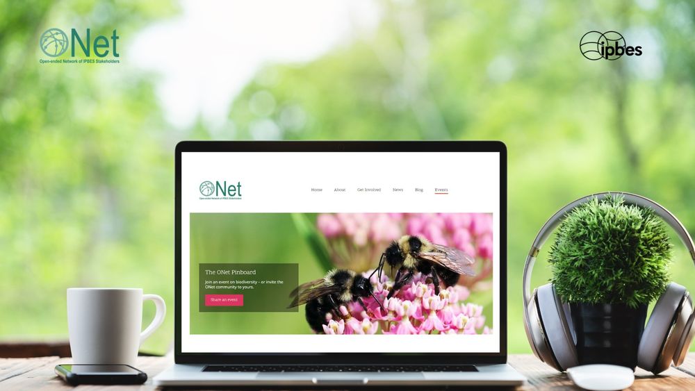 Image of a desk with a mug and some headphones next to a laptop displaying the ONet website.