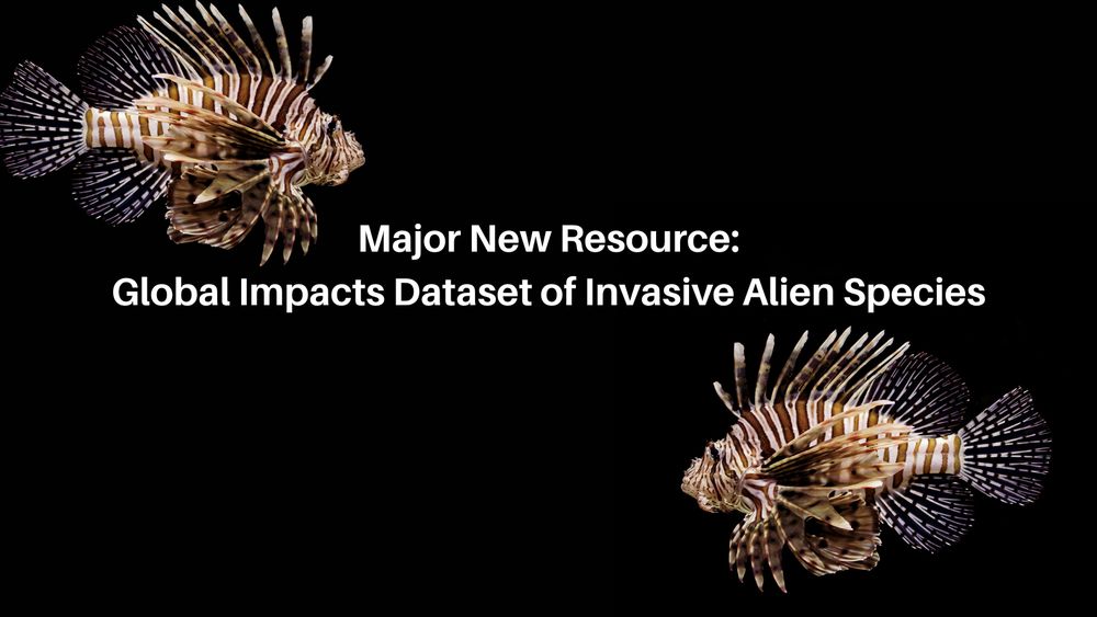 An image of two lionfish. Overlay text reads: Major New Resource, Global Impacts Dataset of Invasive Alien Species