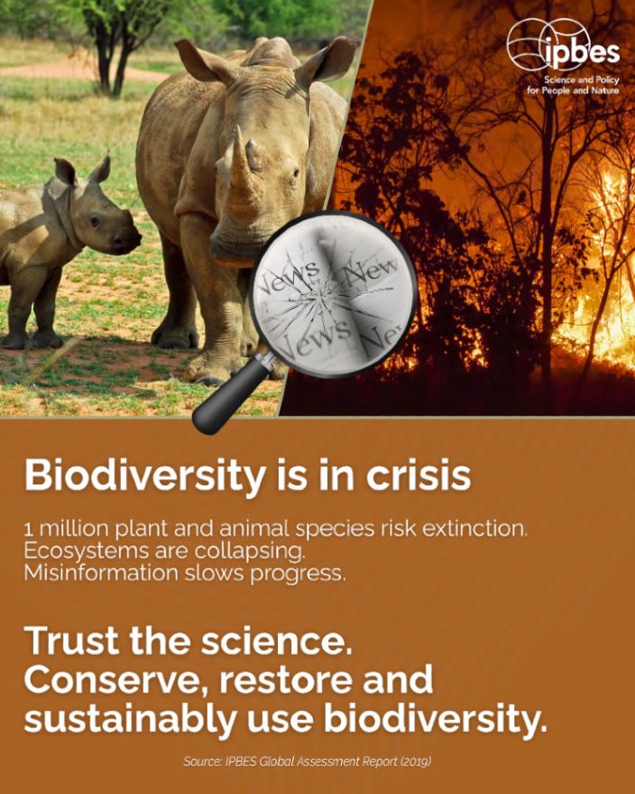 A split-screen image. The left side shows a rhinoceros mother and calf in a savanna landscape with scattered trees. The right side depicts a forest fire scene with orange flames and silhouetted trees against a dark sky.
Text reads:
"Biodiversity is in crisis" followed by:
"1 million plant and animal species risk extinction
Ecosystems are collapsing
Misinformation slows progress." 
"Trust the science.
Conserve, restore and sustainably use biodiversity."