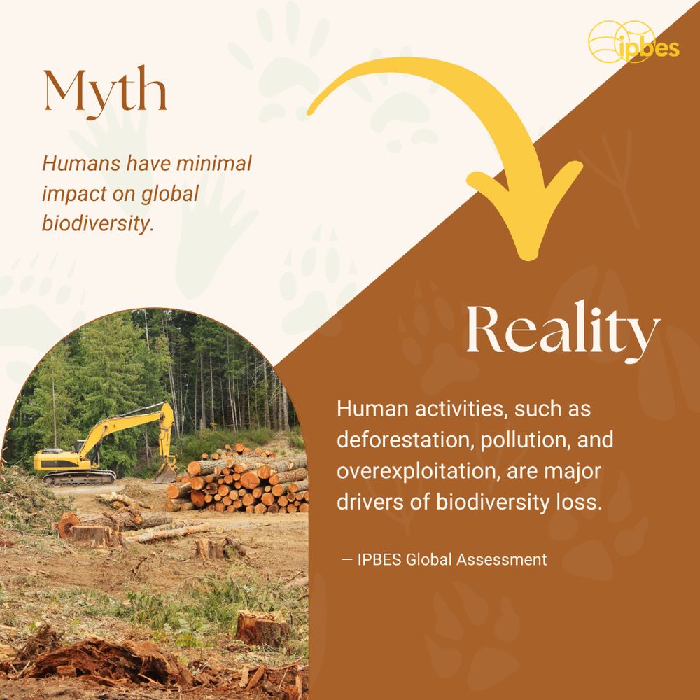 An informational image comparing "Myth" versus "Reality" about biodiversity impacts. The left side labeled "Myth" states "Humans have minimal impact on global biodiversity." The right side labeled "Reality" contains a statement from the IPBES Global Assessment that reads "Human activities, such as deforestation, pollution and overexploitation, are major drivers of biodiversity loss."