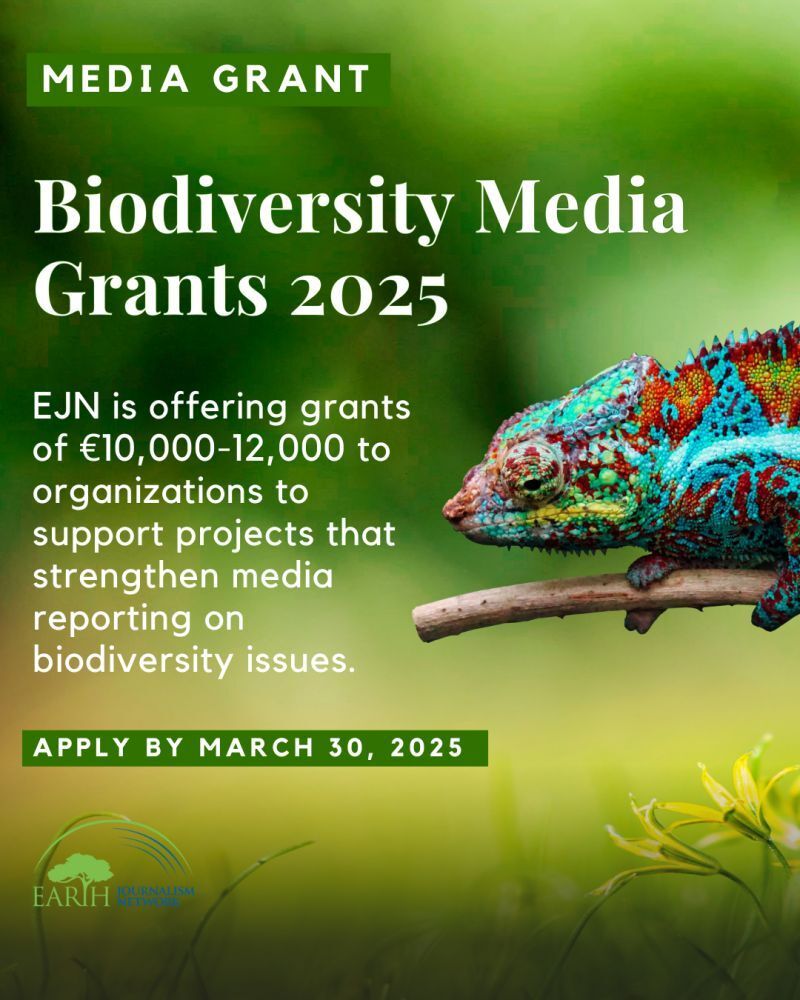 An announcement image for Biodiversity Media Grants 2025 featuring a vibrant close-up photo of a multicolored chameleon on a branch against a blurred green background. The text describes EJN's grant program offering €10,000-12,000 to organizations for biodiversity reporting projects. The deadline "APPLY BY MARCH 30, 2025" appears in white text on a green banner. The Earth Journalism Network logo is visible at the bottom. The image combines professional typography with nature photography, using a green color scheme that complements the biodiversity theme.


