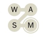 A close-up screen shot snippet of the Strands game from the New York Times showing the acronym WASM selected as if it were a word