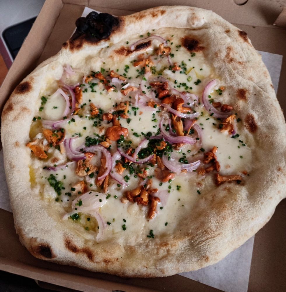 pizza typu neapolitańska - mozarella, ser fondal, kurki, czerwona cebula, szczypiorek i możliwe że u góry było grana padano/parmezan 