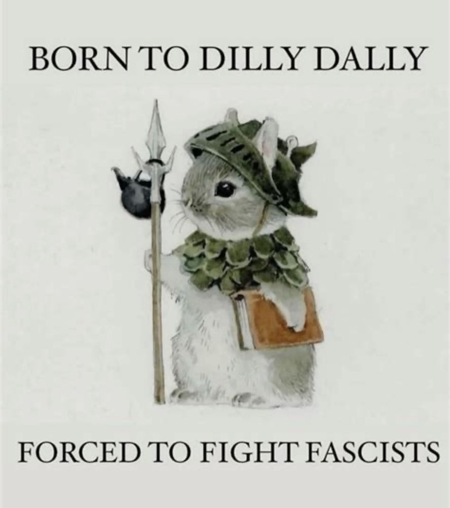 I meme that says Born To Dilly Dally, Forced To Fight Fascists. It is a bunny, standing up right, holding a book, wearing a helmet and some armor, holding a spear that has a teapot hanging from it.