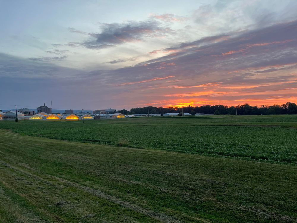 The greenhouses at the outskirts of Cornell campus, with a sunset behind.