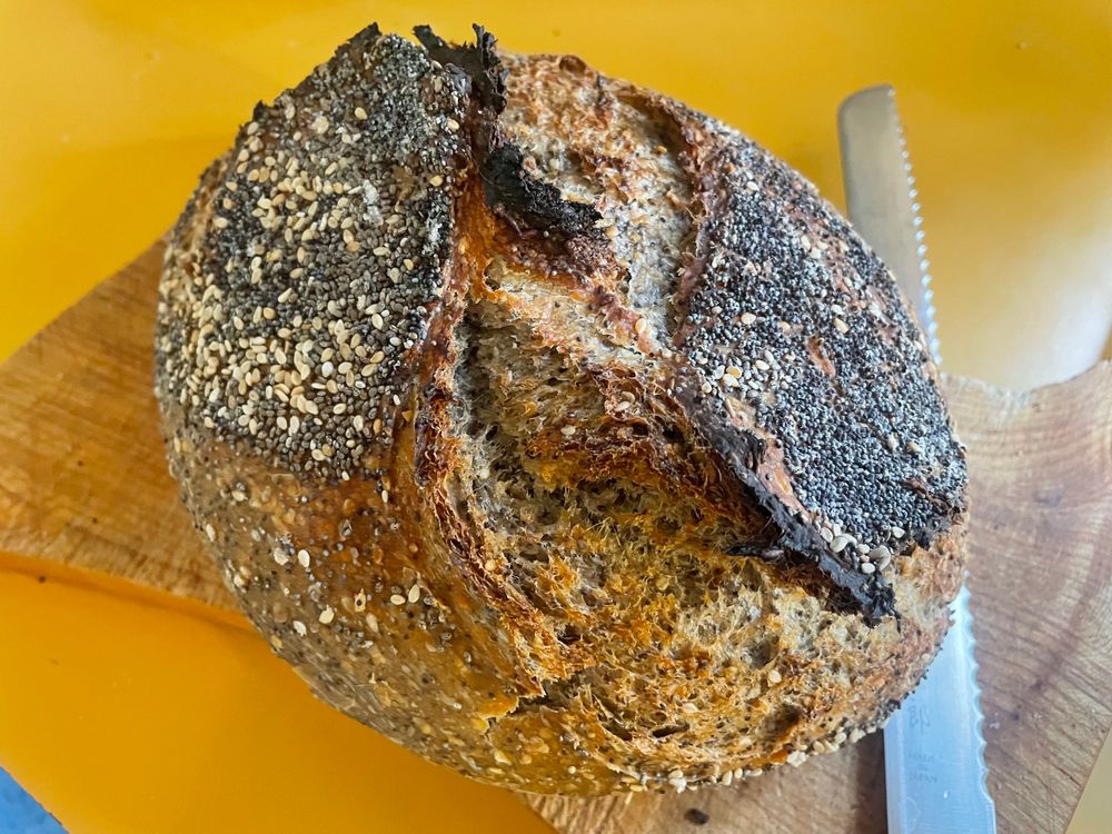 A fresh loaf of seed-covered sourdough bread.