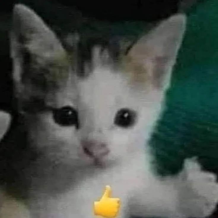 Comment image
