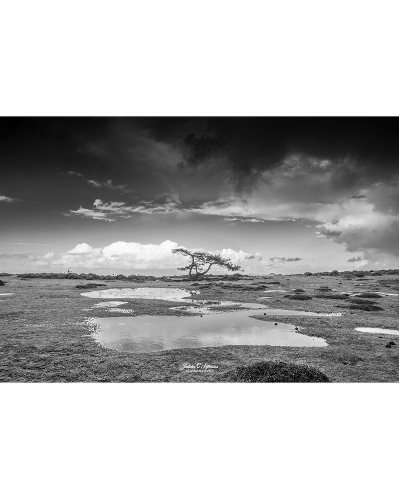 Paisaje en blanco y negro con charcas temporales en la Sierra de la Groba (suroeste de Galicia).
Derechos de autor:  copyright​ Julian C. Iglesias.