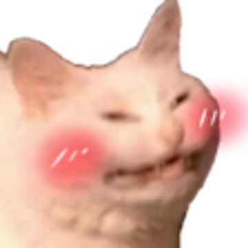 A mid to low quality image of a white cat. It is making a face as if smiling in a goofy way. Blush marks have been drawn over the cat.