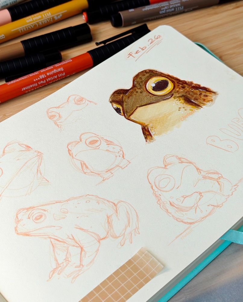 sketchbook spread with sketches of toads and a colored illustration of a toad art by chetom
