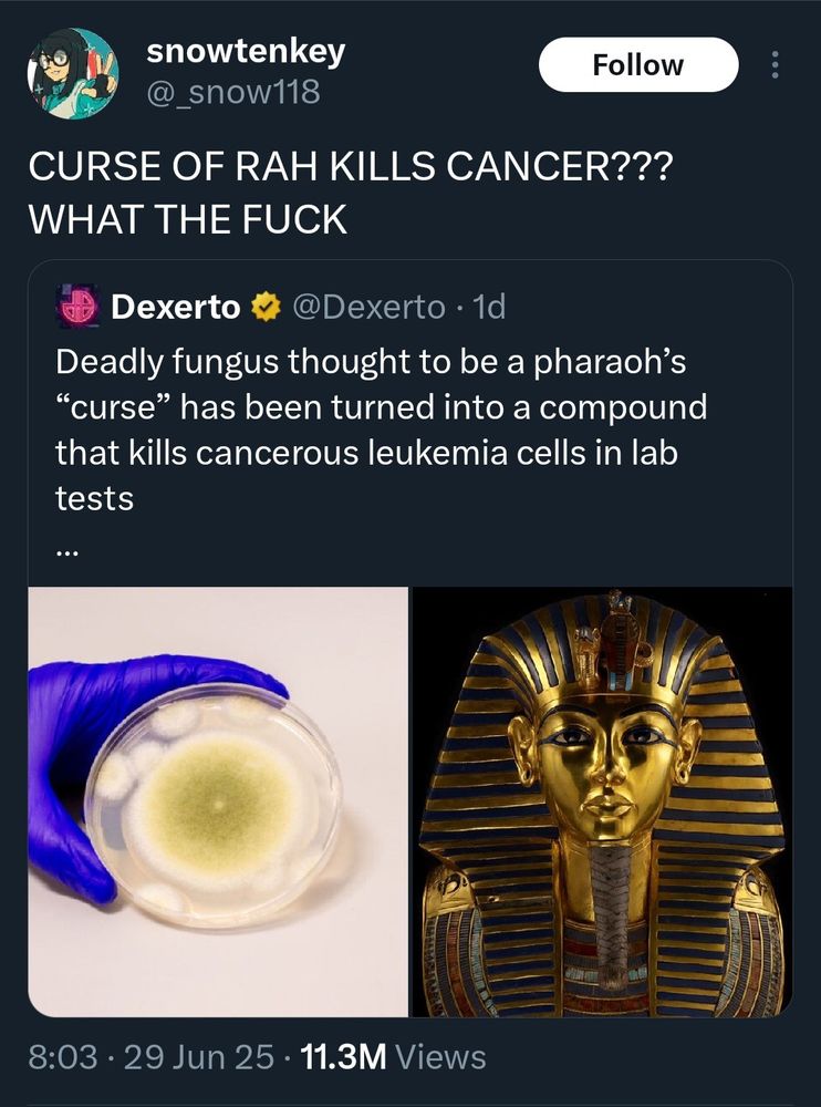 A tweet reading “Deadly fungus thought to be a pharaoh’s “curse” has been turned into a compound that kills cancerous leukemia cells in lab tests” with the retweet: “THE CURSE OF RA KILLS CANCER??? WHAT THE FUCK”