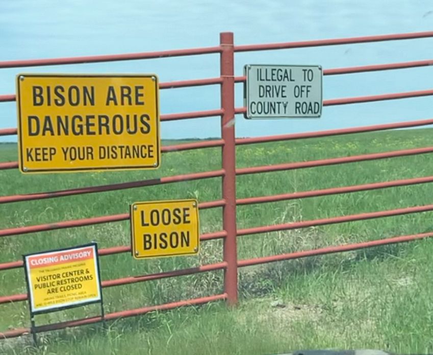 Warning signs outside Tallgrass Prairie 
Bison are dangerous keep your distance 
Loose bison