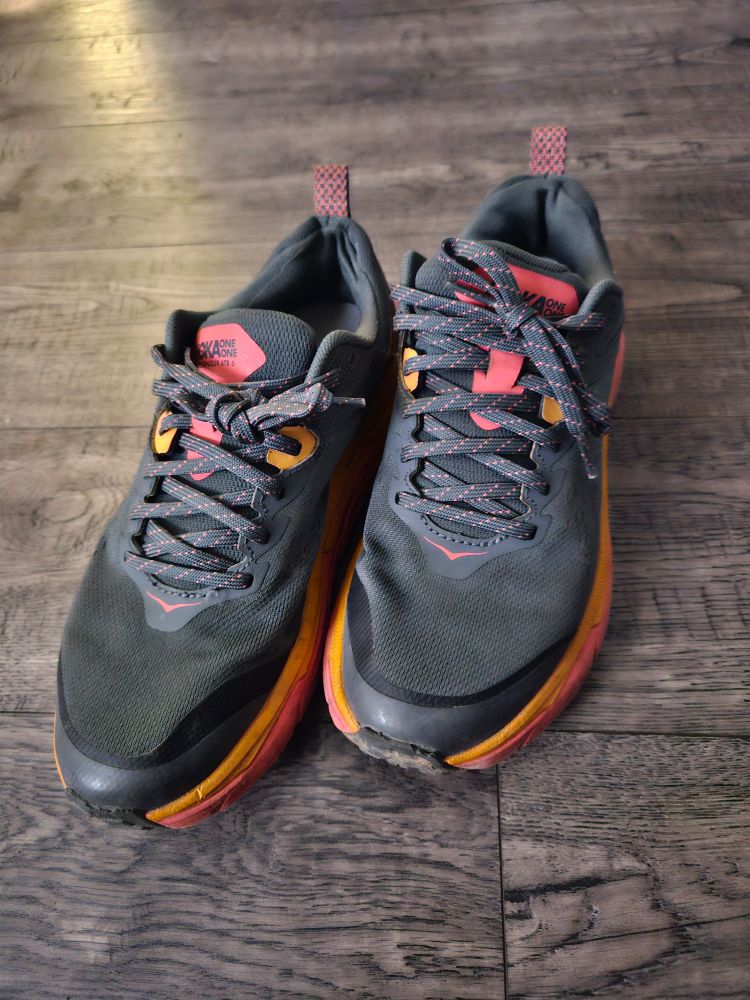 Hoka One One shoes