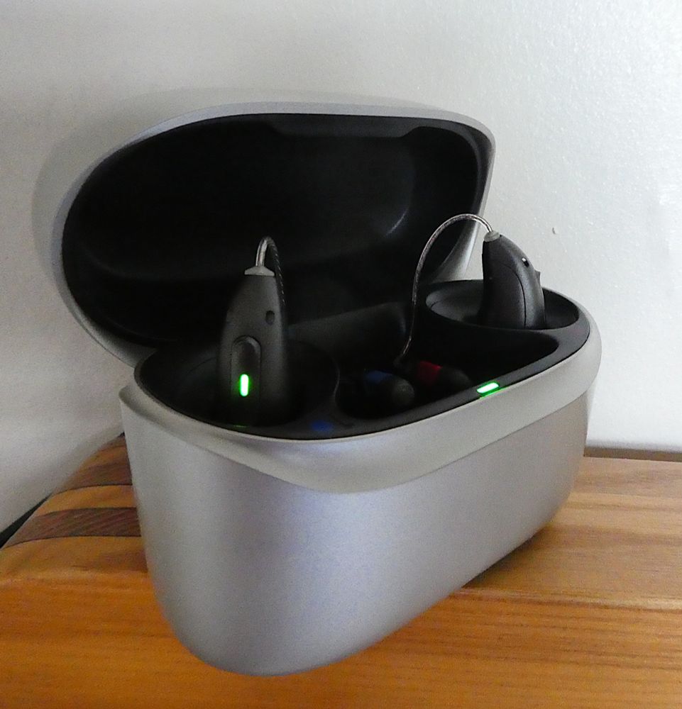 Pair of hearing aids in charging box