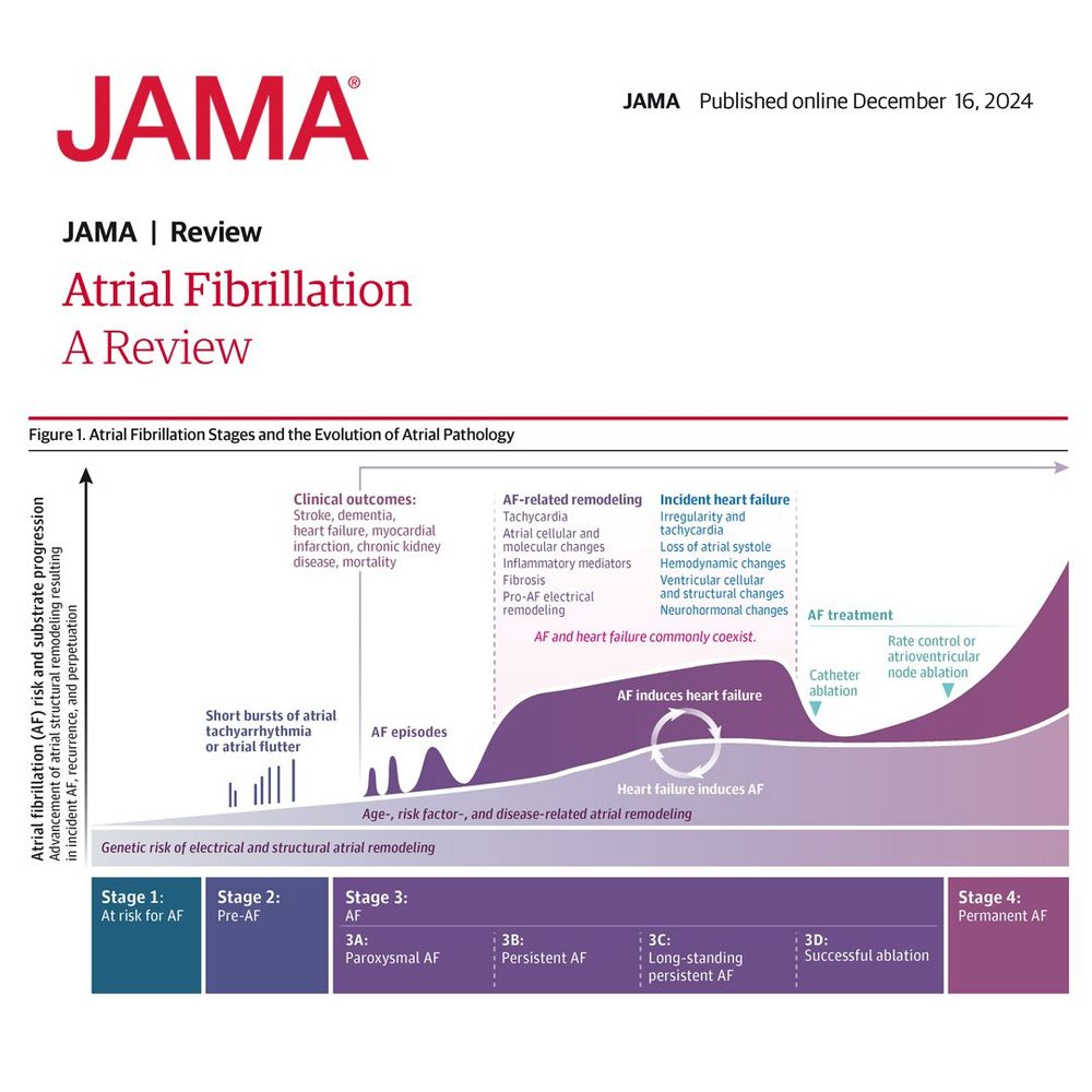 Figure 1.  Atrial Fibrillation Stages and the Evolution of Atrial Pathology
