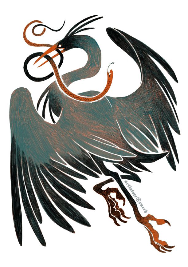 an etching-style image of a heron taking flight with a snake in its beak.