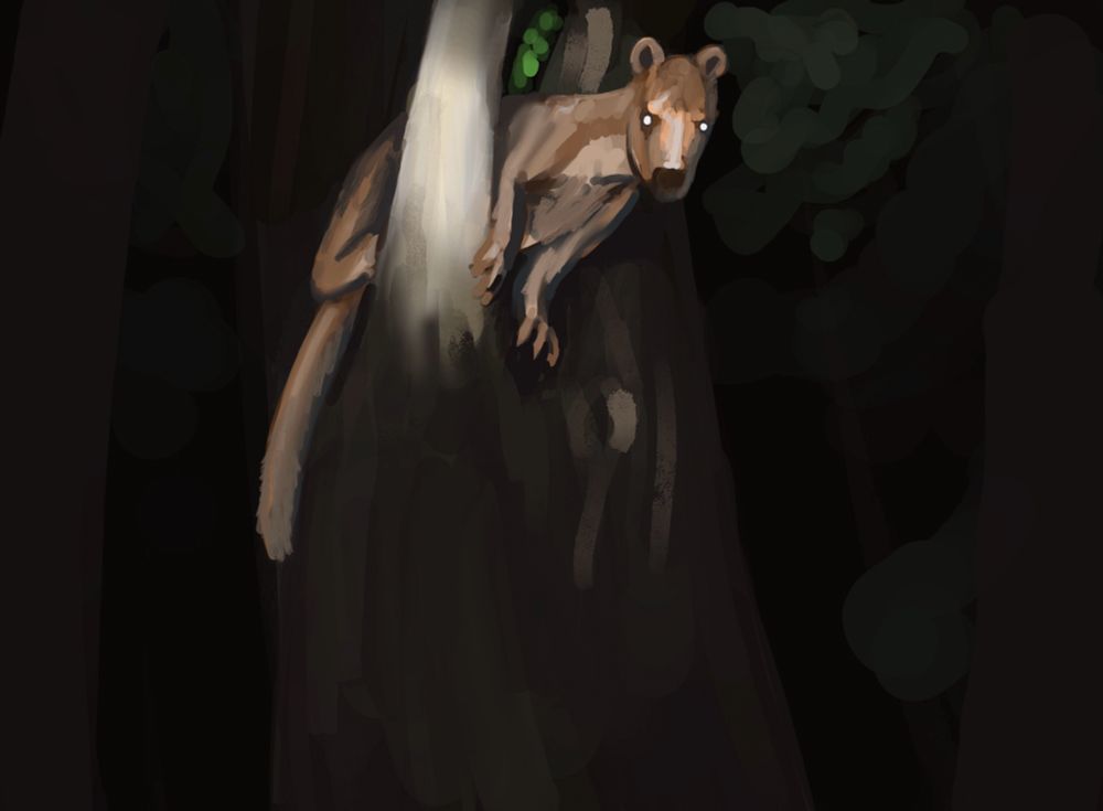 The bizarre ungulate Diplobune minor peering down from the trees, illuminated by the flash of some startled time travelers camera