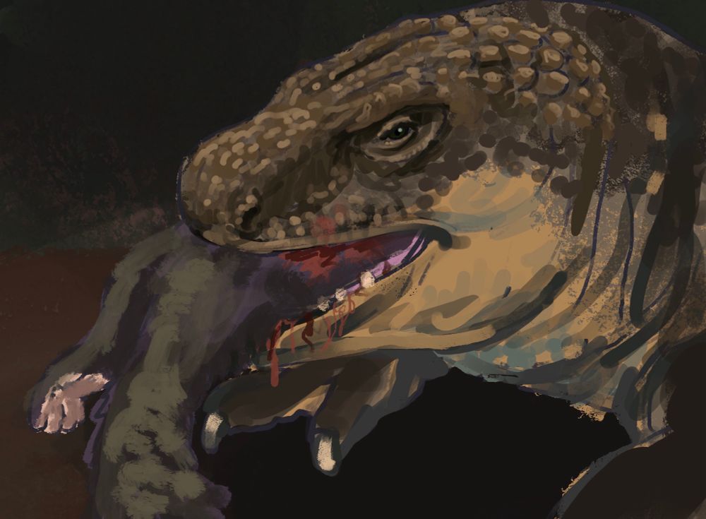 The iguana sized monstersaurian lizard Bolg amondol scarfing down a little multituburculate mammal