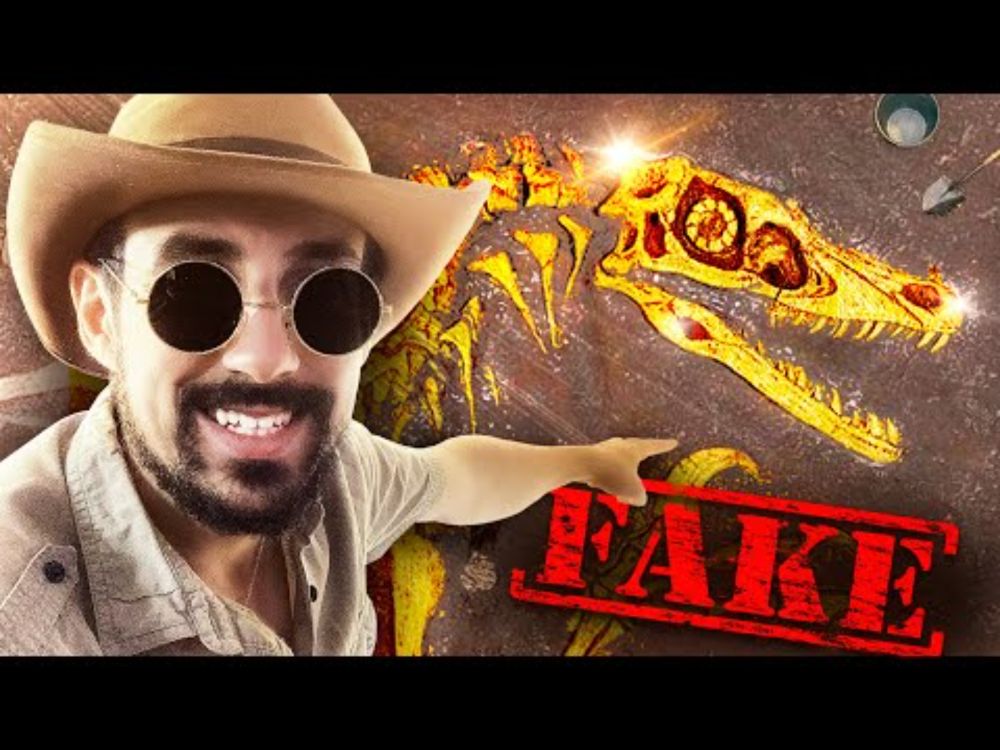 Fossiles De Dinosaures À 1 € Vs 40 000 000 €