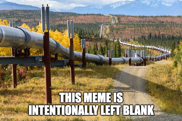 IMAGE: Elevated pipeline winding through a forested landscape with mountains in the background

CAPTION: this meme is intentionally left blank