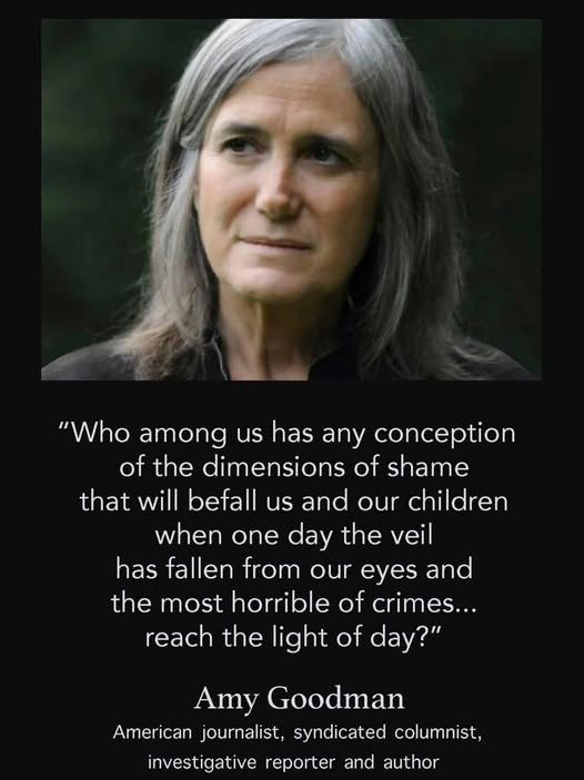 "Who among us has any conception of the dimensions of shame that will befall us and our children when one day the veil has fallen from our eyes and the most horrible of crimes... reach the light of day?"
Amy Goodman
American journalist, syndicated columnist, investigative reporter and author
