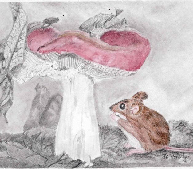 graphite mushroom with a red top with a brown mouse standing beneath it.  The only color that isn't gray pencil is the mushroooom cap and the mouse. 