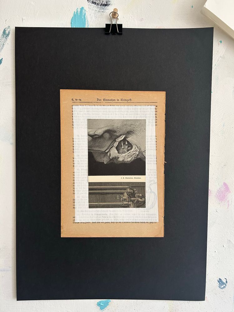 Found paper collage including old book page and photographs on black paper. 