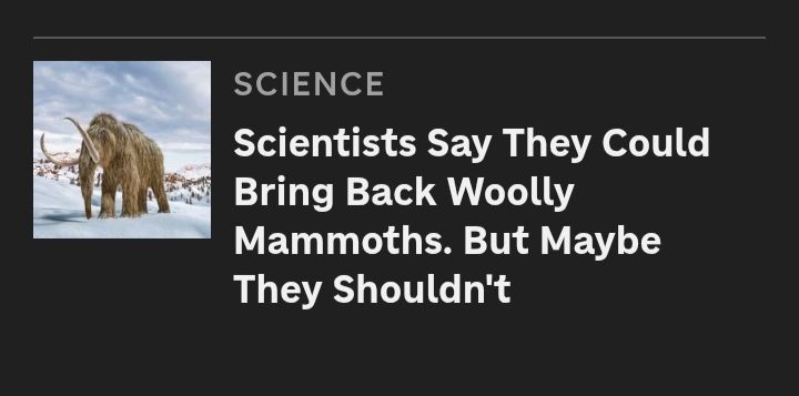 An NPR news headline thay reads: "Scientists say they could bring back woolly mammoths. But maybe they shouldn't". Photo beside headline shows a woolly mammoth walking in some snow. I assume this is an artists impression because as we have learned they are NOT back 