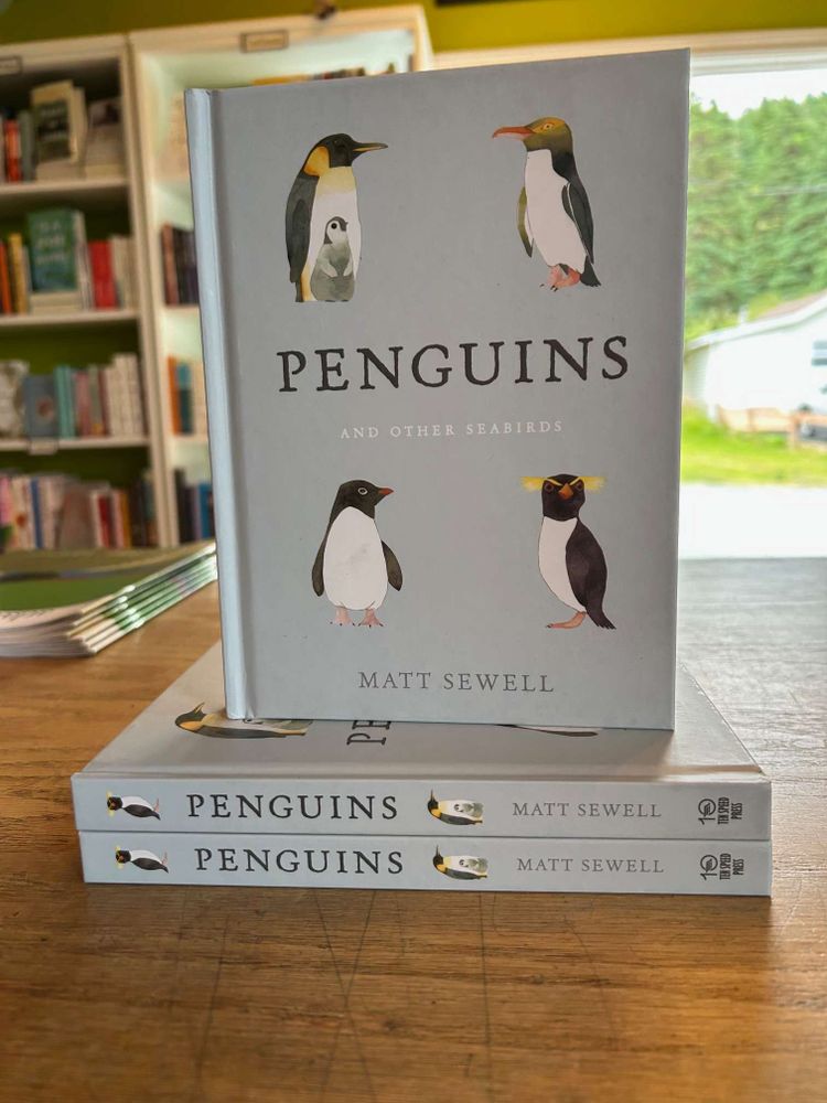 A picture book. It is Penguins and other seabirds by Matt Sewell.