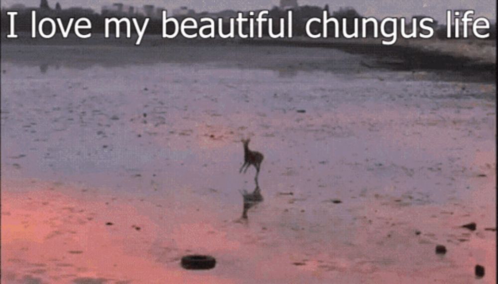 a picture of a deer on a beach with the words i love my beautiful chungus life above it