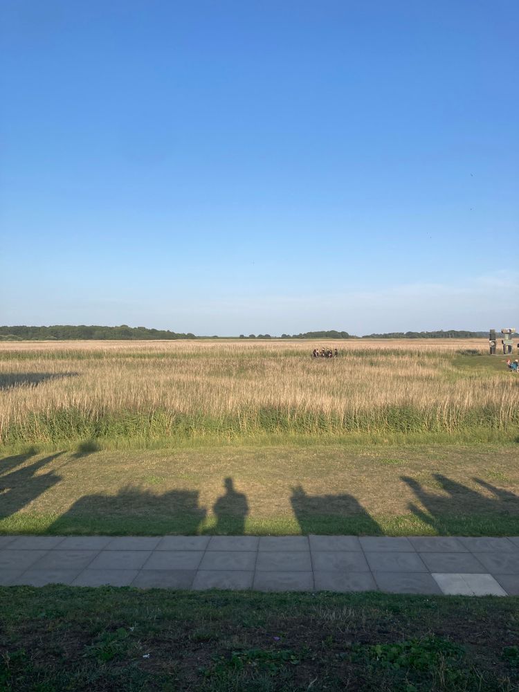 A view across reed beds to trees on the skyline and a clear blue sky. Long evening shadows stretch across grass in the foreground and a small group of teenagers dressed all in black are walking along a path in the reeds. 
