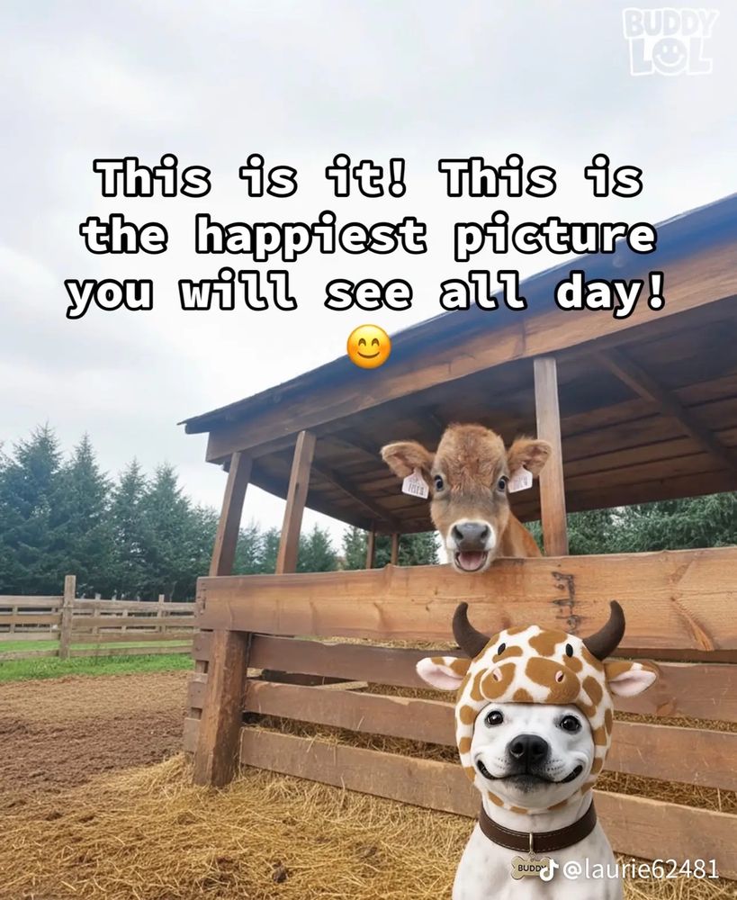 Happy dog and cow
