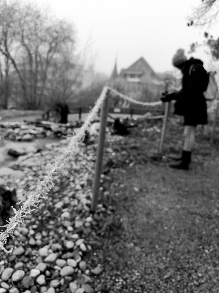 Icy rope, park and person taking a photo in the background