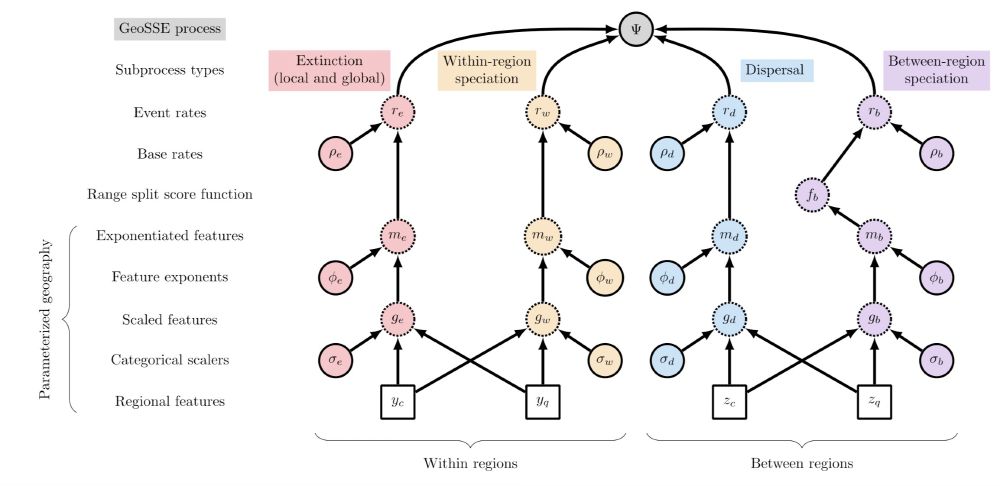Graphical representation of GeoSSE model