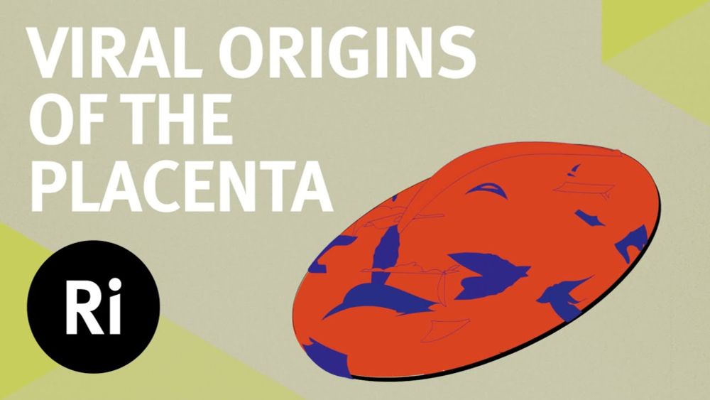 The Viral Origins of the Placenta