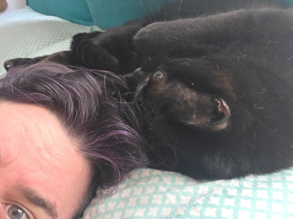 A sleepy black cat curled upside down against the top of my head as we share a pillow. You can see my purple hair and one green eye. 